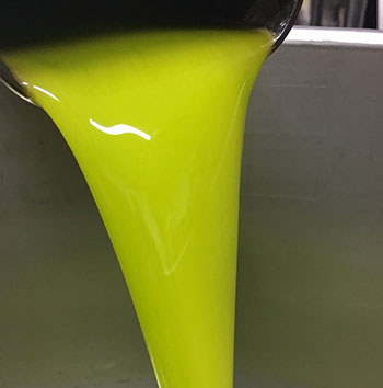 Monciolio EVOO just made